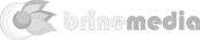 BrineMedia - Developer